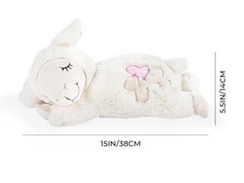 Paws little buddy for sale  WAKEFIELD
