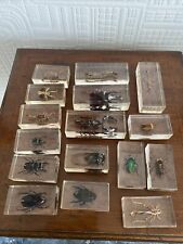 Assorted insects lucite for sale  LIVERPOOL