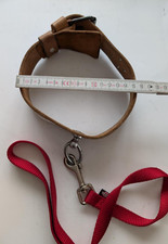 Stabile lederhalsband leine gebraucht kaufen  Deutschland