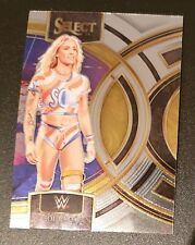 Panini wwe select for sale  Shipping to Ireland