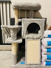 Hey brother cat for sale  El Dorado Hills