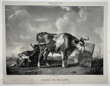 Vaches prairie hollande d'occasion Vaches prairie hollande d'occasion  Pluvigner