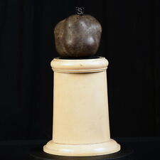 Rare bézoard yack d'occasion  Cavaillon