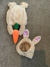 Dogs bunny rabbit for sale  LEEDS