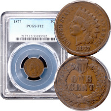 1877 indian cent for sale  San Francisco