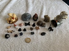 Collection small cat for sale  NORWICH