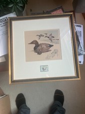 1975 federal duck for sale  Minneapolis