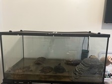 Gallon turtle tank for sale  Scranton