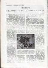 Licheni malattia delle usato  Roma