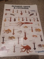 Guardian poster wall for sale  SALE
