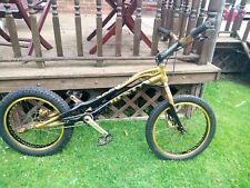Monty 25year gold for sale  SKELMERSDALE