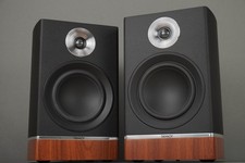 Tannoy platinum schwarz gebraucht kaufen  Karsbach