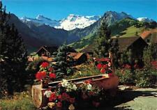 13995828 adelboden brunnentrog gebraucht kaufen  Deutschland