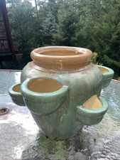 Vintage strawberry succulent for sale  Mankato