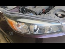 Passenger headlight halogen for sale  Cape Girardeau