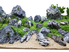 Lbs aquascaping seiryu d'occasion  Expédié en Belgium