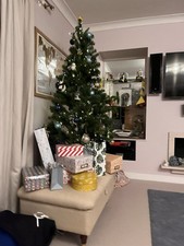 5ft evergreen fir for sale  SEVENOAKS