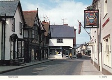 Postcard presteigne farmers for sale  BURY