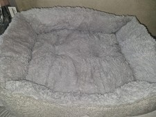 Fluffy medium dog for sale  NELSON