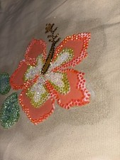 Hand painted embellished for sale  Bronx