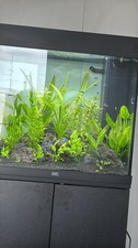 Juwel lido 120 gebraucht kaufen  Lübeck