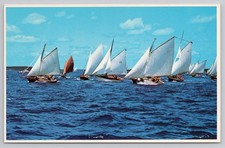 Annual races friendship for sale  Spring