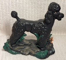 Black standard poodle for sale  Kenly
