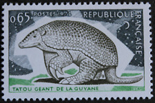 Timbre tatou géant d'occasion  Annecy