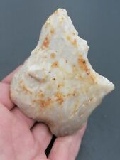 Neanderthal middle paleolithic d'occasion  Bonneville