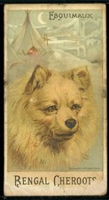 N375 1880s breeds d'occasion  Expédié en Belgium