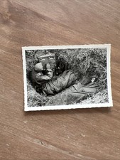 Sterbebild foto tarnjacke gebraucht kaufen  Deutschland