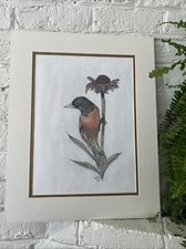 Oriole bird flower for sale  Thomasville