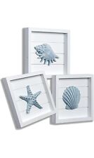 Tideandtales blue seashells for sale  Troy