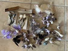 Vögel feder sticks gebraucht kaufen  Dielheim