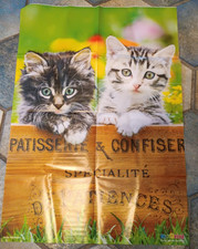 Tierposterkatzen medizini 2025 gebraucht kaufen  Bottrop