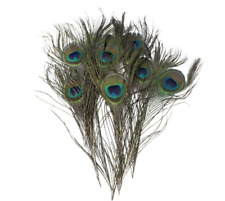 20pcs peacock feathers for sale  BIRMINGHAM