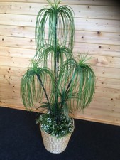 Künstliche pflanze palme gebraucht kaufen Künstliche pflanze palme gebraucht kaufen  Uelzen