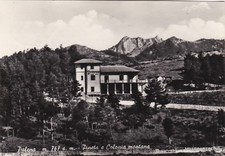 Palena pineta colonia usato Palena pineta colonia usato  Roma