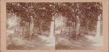 Stereoskopie karte 1870 gebraucht kaufen  Hörselberg-Hainich