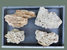 Dekogestein meerwasseraquarium gebraucht kaufen  Wallenhorst