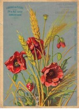 Chromos.am16678.10x14 .chicor� d'occasion  France