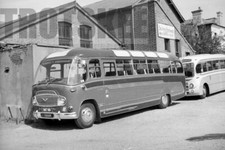 Larger negative warner for sale  HIGH WYCOMBE