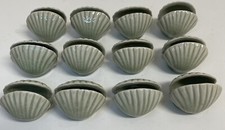 shells name 3 unknown for sale shells name 3 unknown for sale Rome