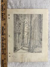 1930 yosemite vermont for sale  Hatboro