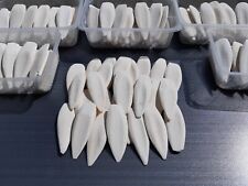 300 gramm sepiaschalen gebraucht kaufen  Rieden