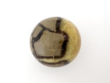 Septarie septaria septarien gebraucht kaufen  Hamburg