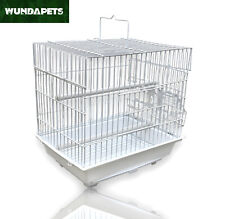Wundapets small bird for sale  CHORLEY