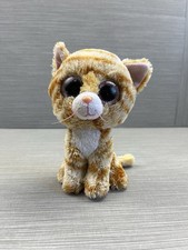 Tabitha ginger tabby for sale  WIDNES