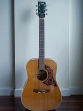 Roje folk acoustic d'occasion  Expédié en Belgium