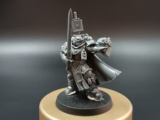 Bruder captain grey gebraucht kaufen  Geldern